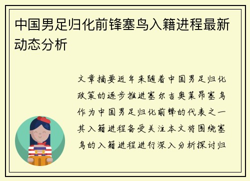 中国男足归化前锋塞鸟入籍进程最新动态分析